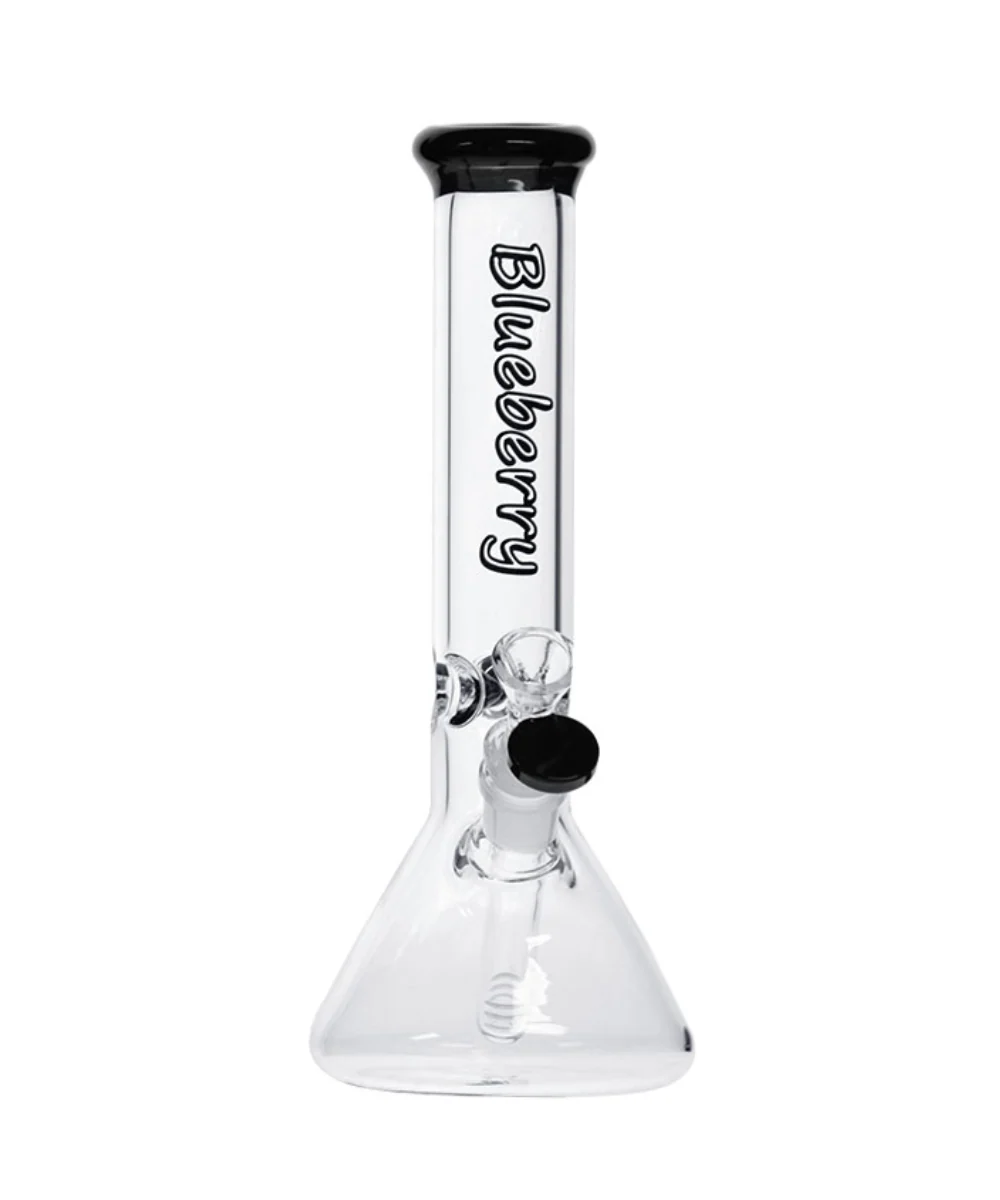 Blueberry 11" Glass Beaker Bong