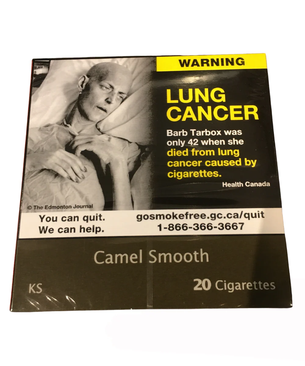 Camel Smooth King Size 20 Pack