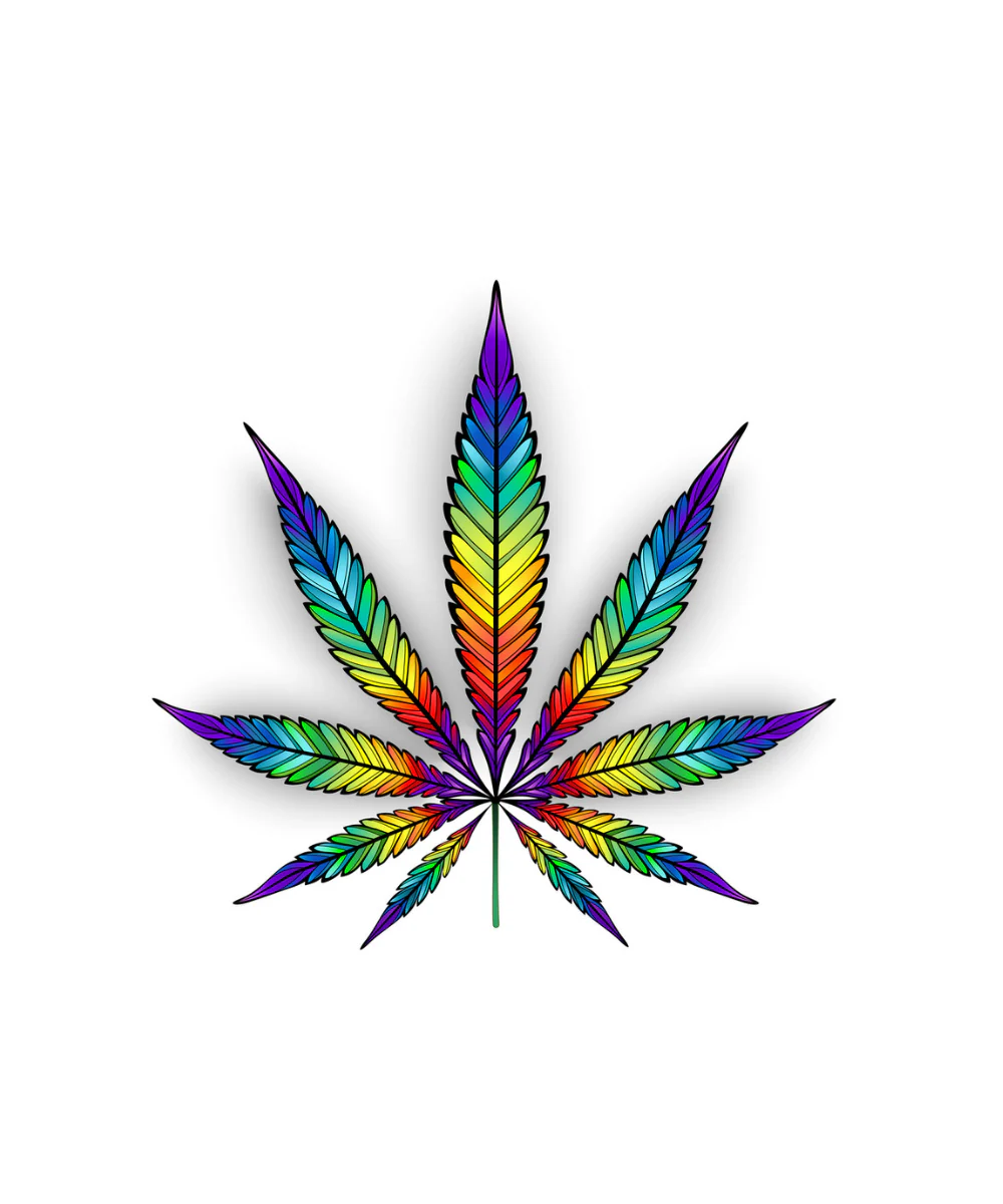 Rainbow Pot Leaf Patch