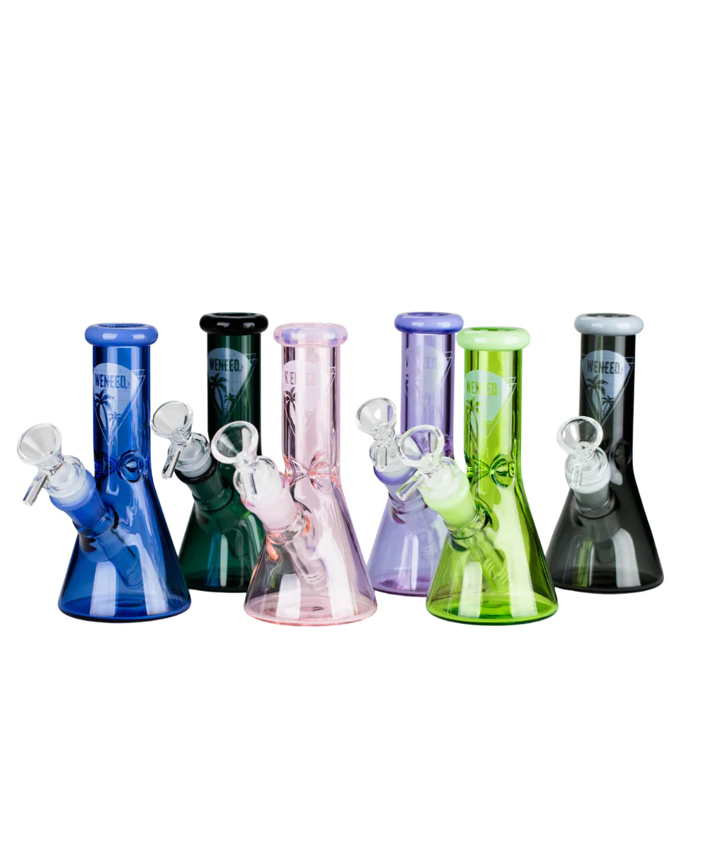 Weneed 6" Mini Beaker Bong